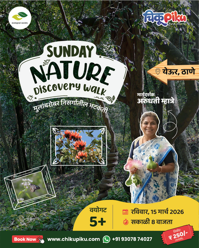 Nature Walk | येऊर, ठाणे