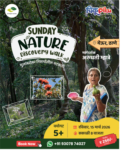 Nature Walk | येऊर, ठाणे