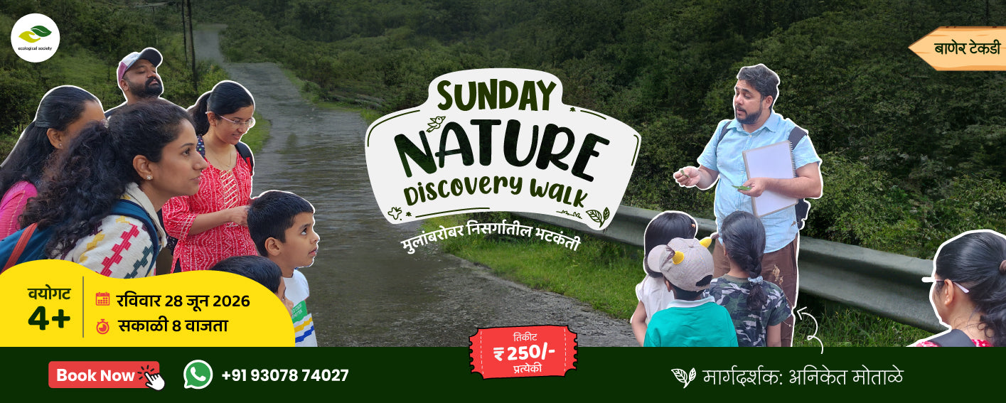 Promotional banner