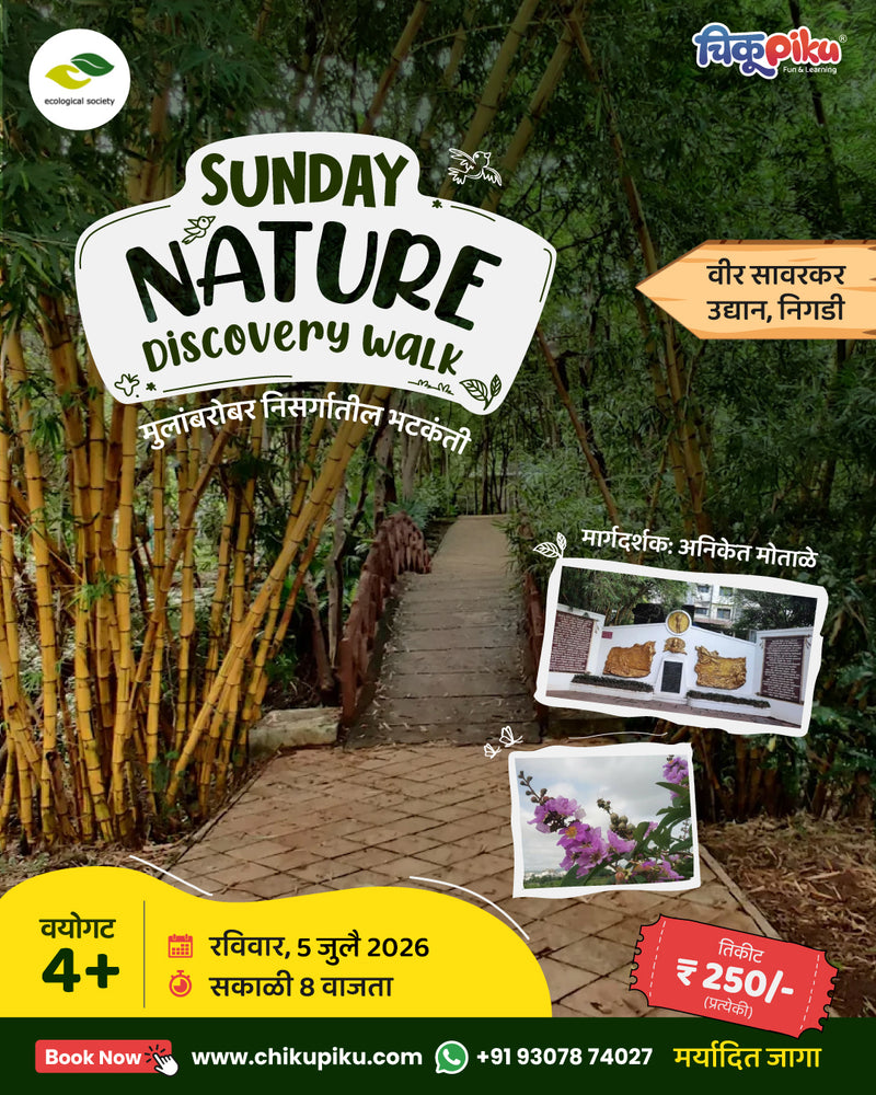 Sunday Nature Discovery walk